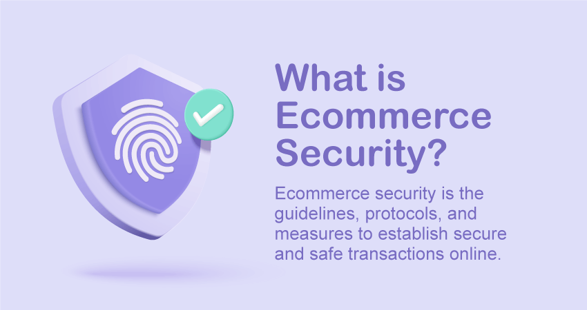 what is ecommerce security