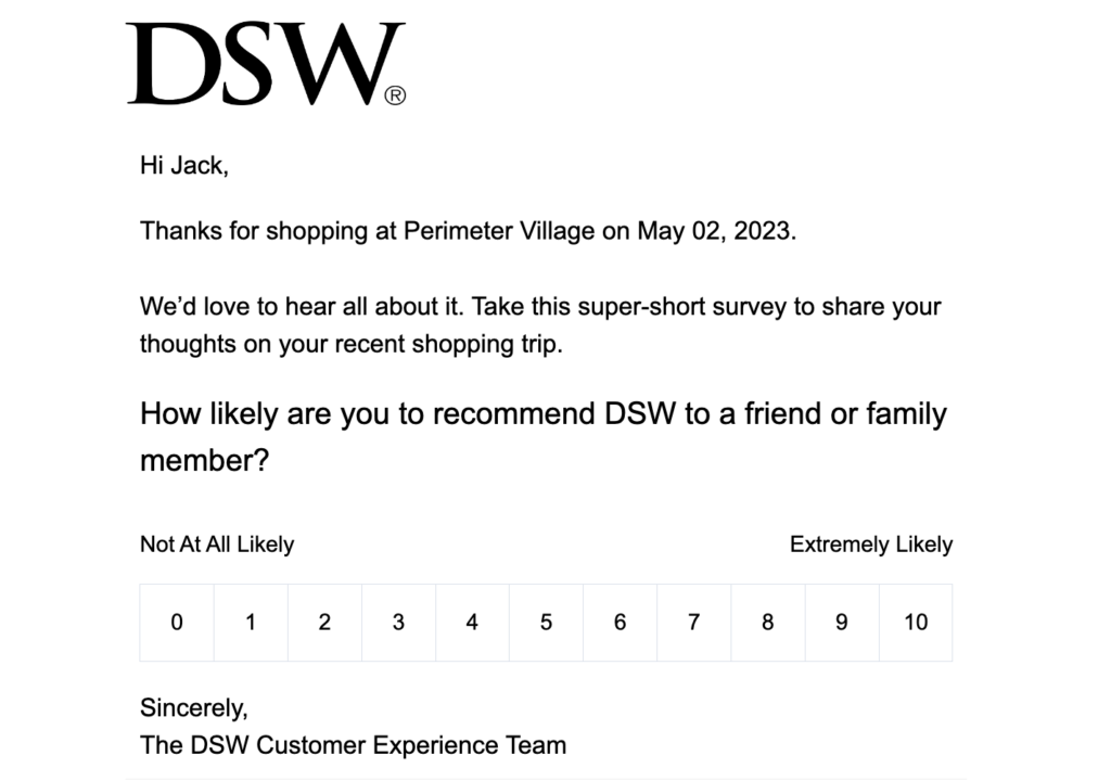 survey email ecommerce marketing example