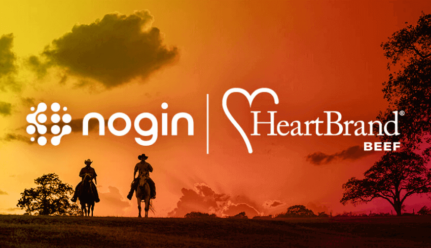 Heartbrand Beef Ecommerce client announcement